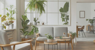 Plante Foioase